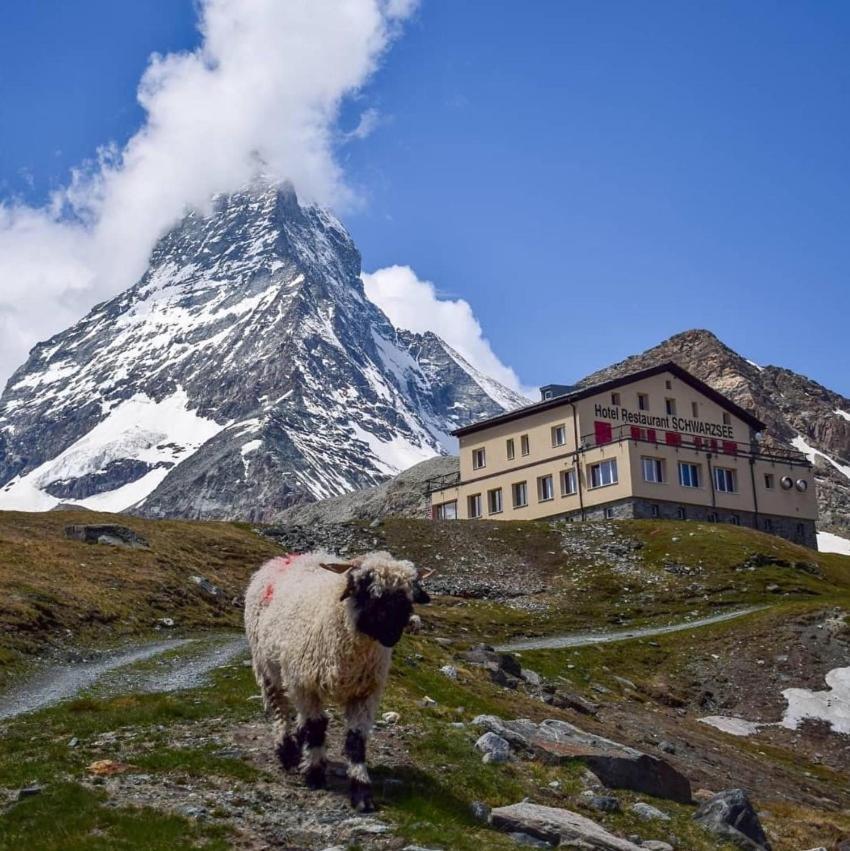 Hotel Schwarzsee เซอร์แมท ภายนอก รูปภาพ